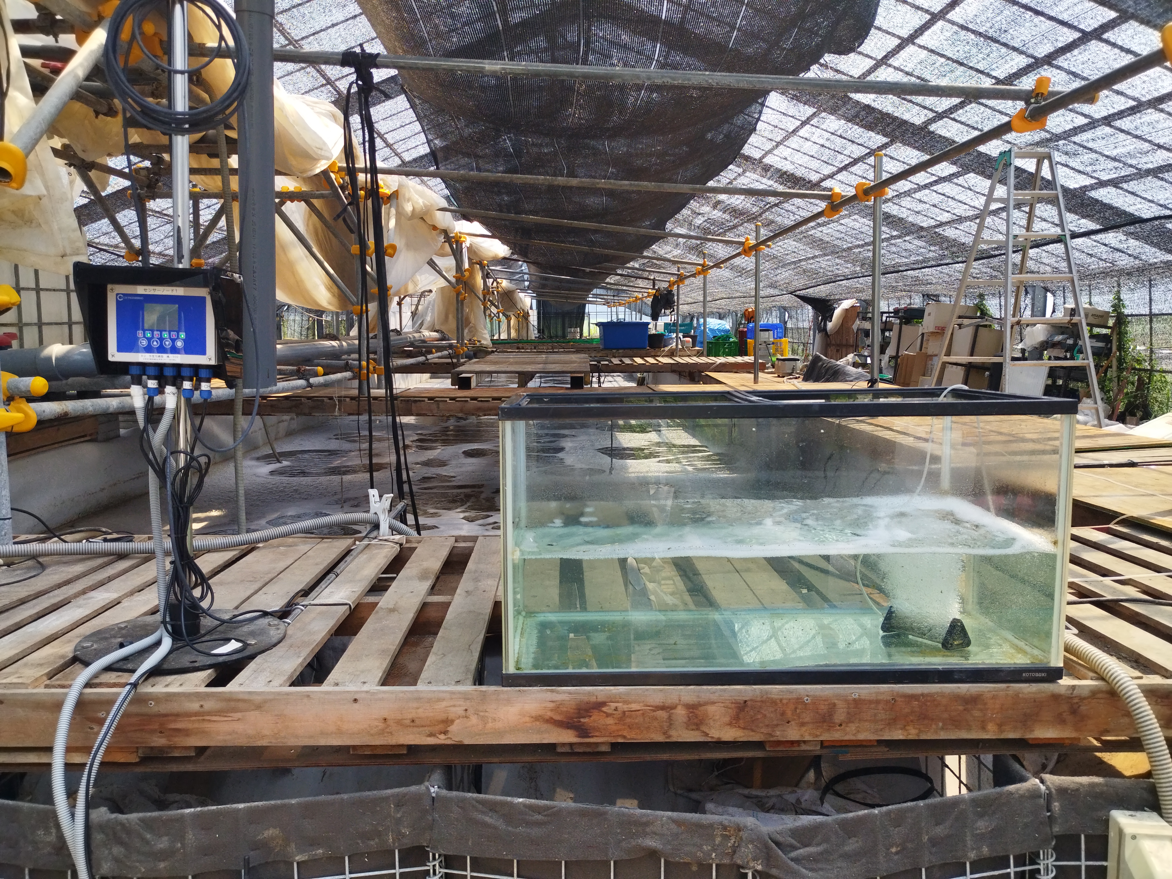 養殖槽とセンサノード